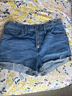 Madewell Button-Fly Cuffed Blue Denim Shorts